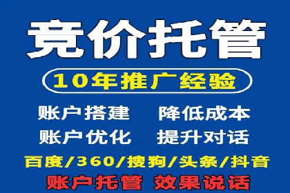 成功案例：网络推广与竞价广告的完美结合